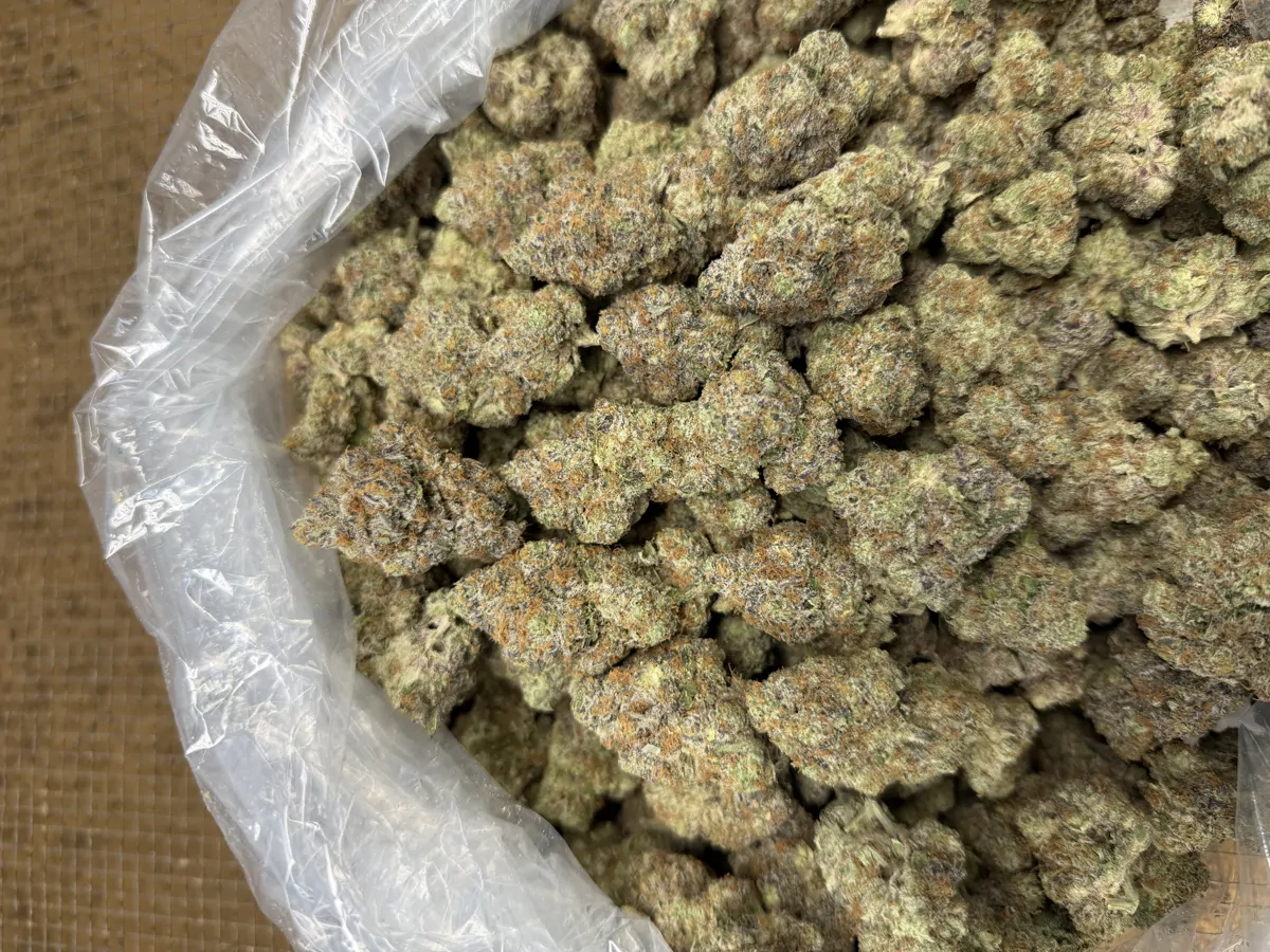 Super Lemon Pop Flower